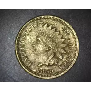 Indian Cent (1859-1909) (2)